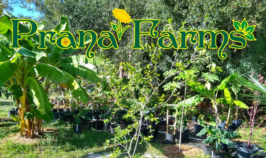 Prana Farms
